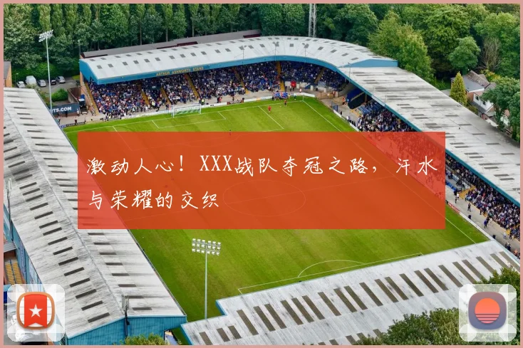 激动人心!XXX战队夺冠之路,汗水与荣耀的交织