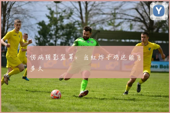 伤病阴影笼罩,当红炸子鸡还能飞多久
