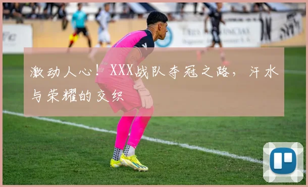 激动人心！XXX战队夺冠之路，汗水与荣耀的交织