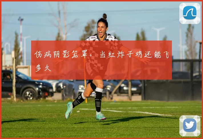 伤病阴影笼罩,当红炸子鸡还能飞多久